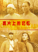 美女视频导航